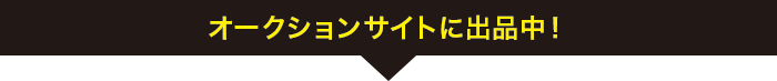 I[NVTCgɏoiI